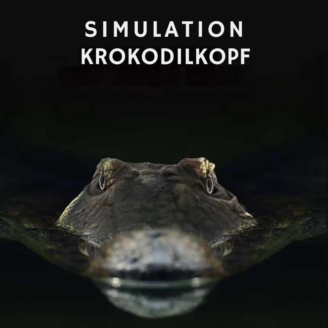 CrocCruise™ Simulation Krokodilkopf