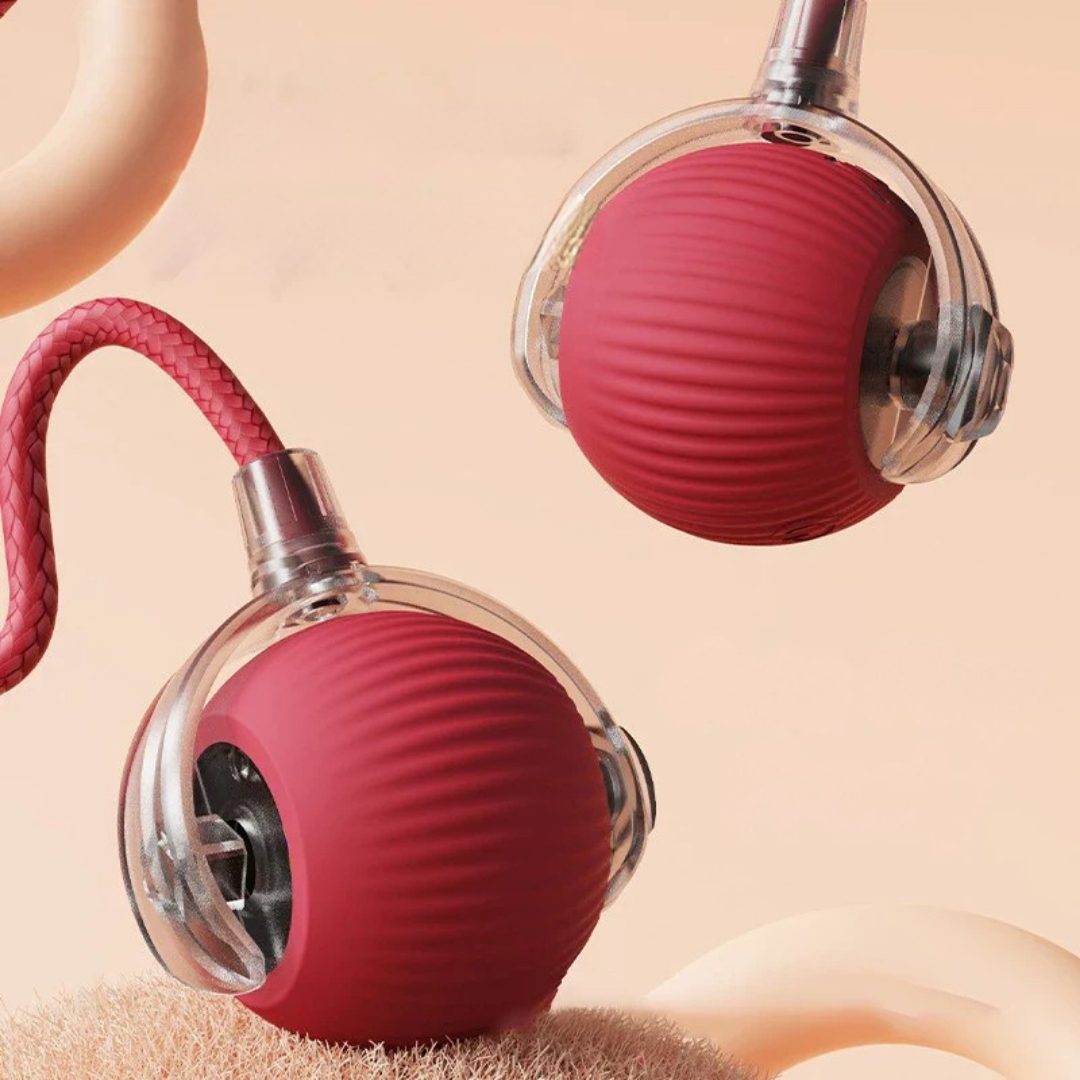 PetOrbit™ - Haustier Interaktiver Rollender Ball
