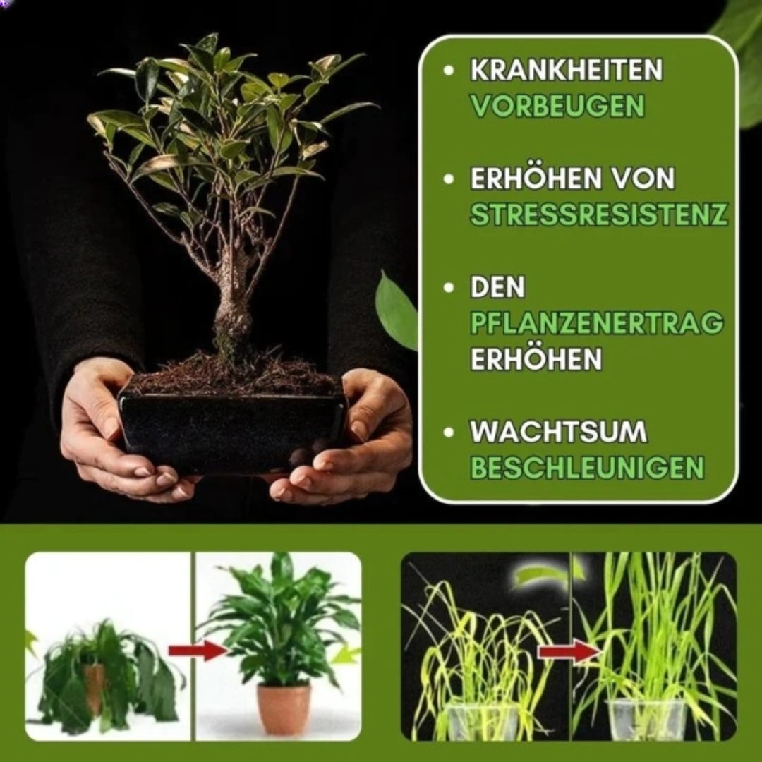 ROOTGROW™ Instant-Dünger (1+1 GRATIS)