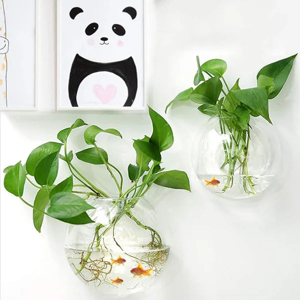 WallBliss™ – Wandmontierte Klare Blumenvase (1+1 GRATIS)