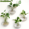 WallBliss™ – Wandmontierte Klare Blumenvase (1+1 GRATIS)