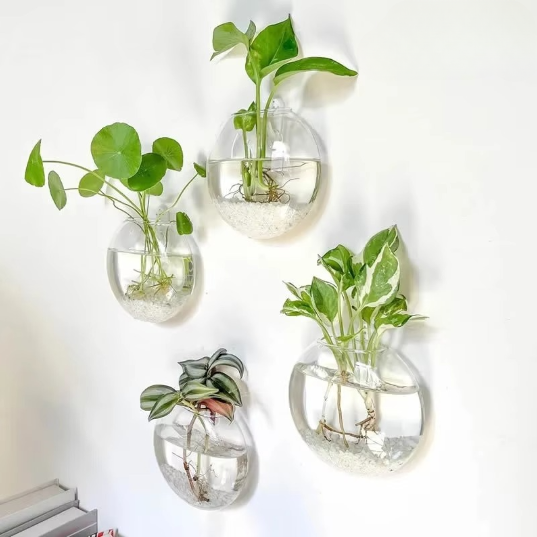 WallBliss™ – Wandmontierte Klare Blumenvase (1+1 GRATIS)