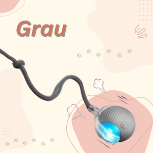 PetOrbit™ - Haustier Interaktiver Rollender Ball