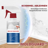 MoldGuard™ | Anti-Schimmel-Reinigungsschaum