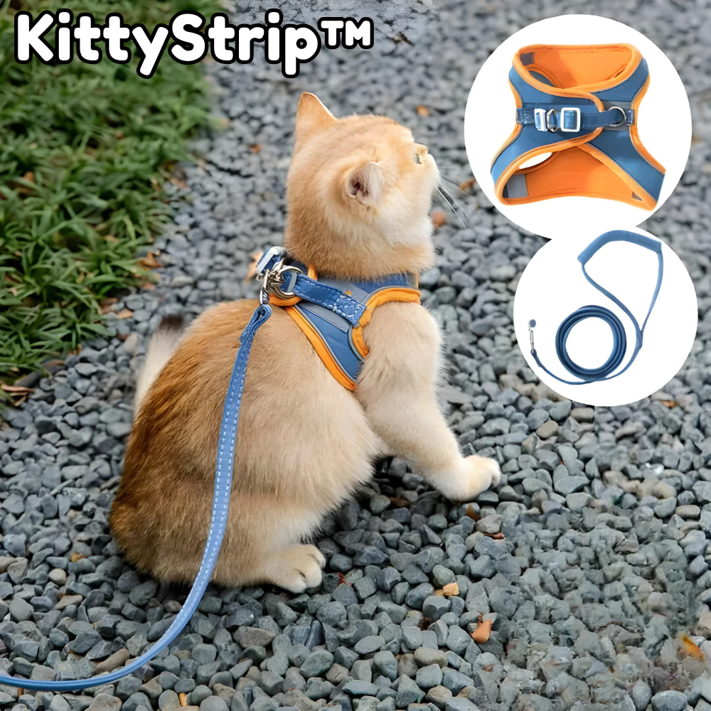 KittyStrip™ - Reflektierende Streifen Katzengeschirr