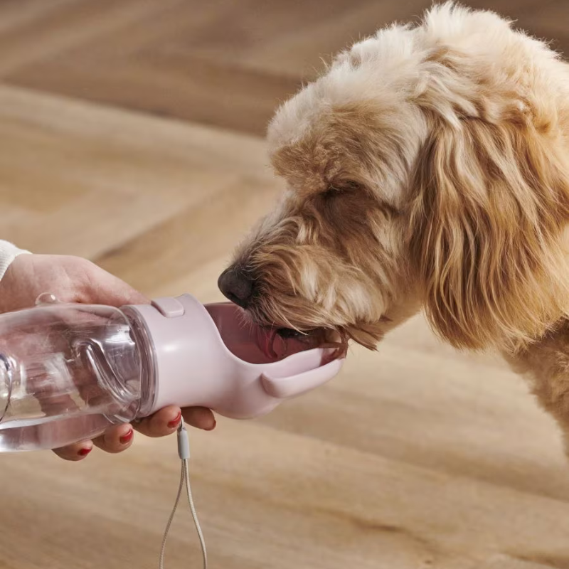 PetRefresh™ - Tragbare Hunde-Wasserflasche