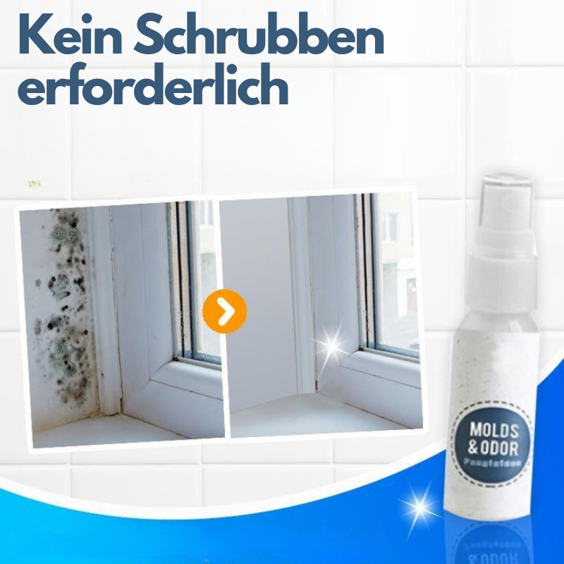 MoldOff™ - Schimmelpilz-Entfernungsspray (1+1 GRATIS)