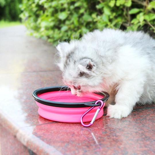 Pet Hydrate™ 2-in-1 Wasser- und Lebensmittelflasche für Haustiere