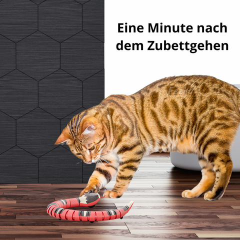 Sneky™ - Schlange Interaktives Katzenspielzeug