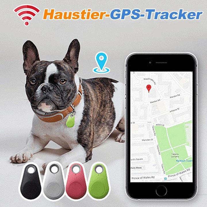 Tracky™ Intelligenter GPS-Tracker für Haustiere