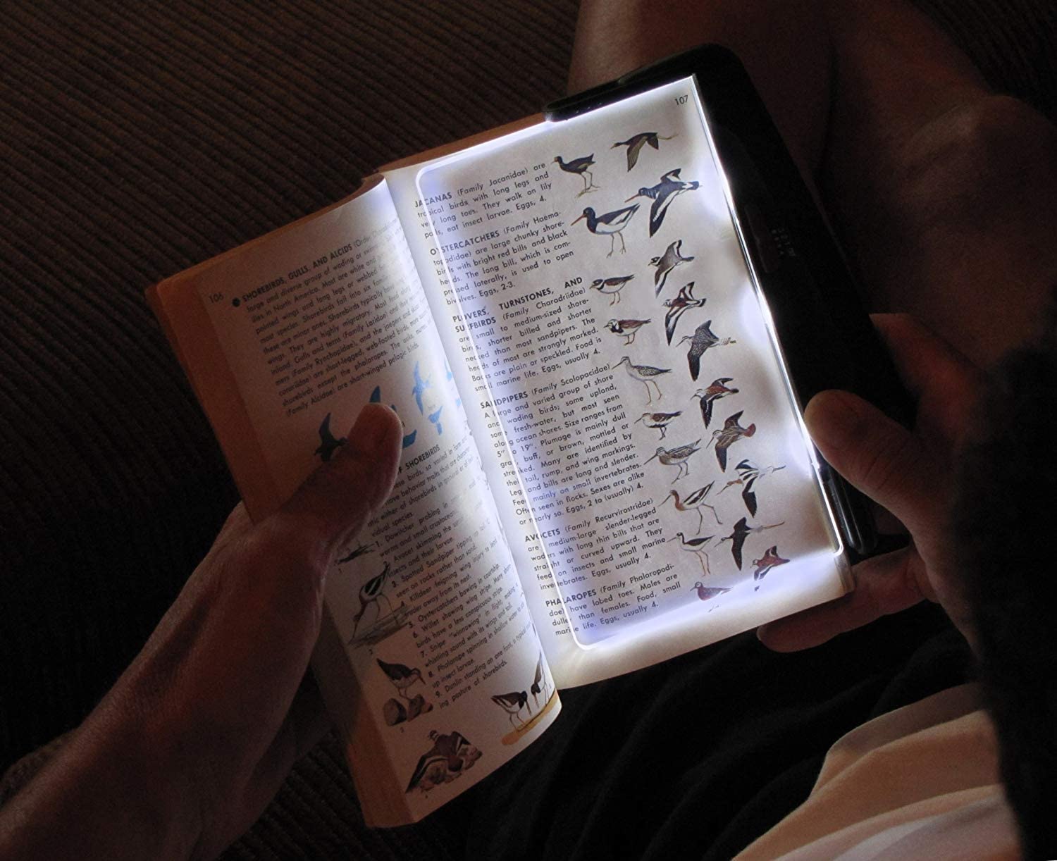 LumaLight™️ I Buch LED-Licht
