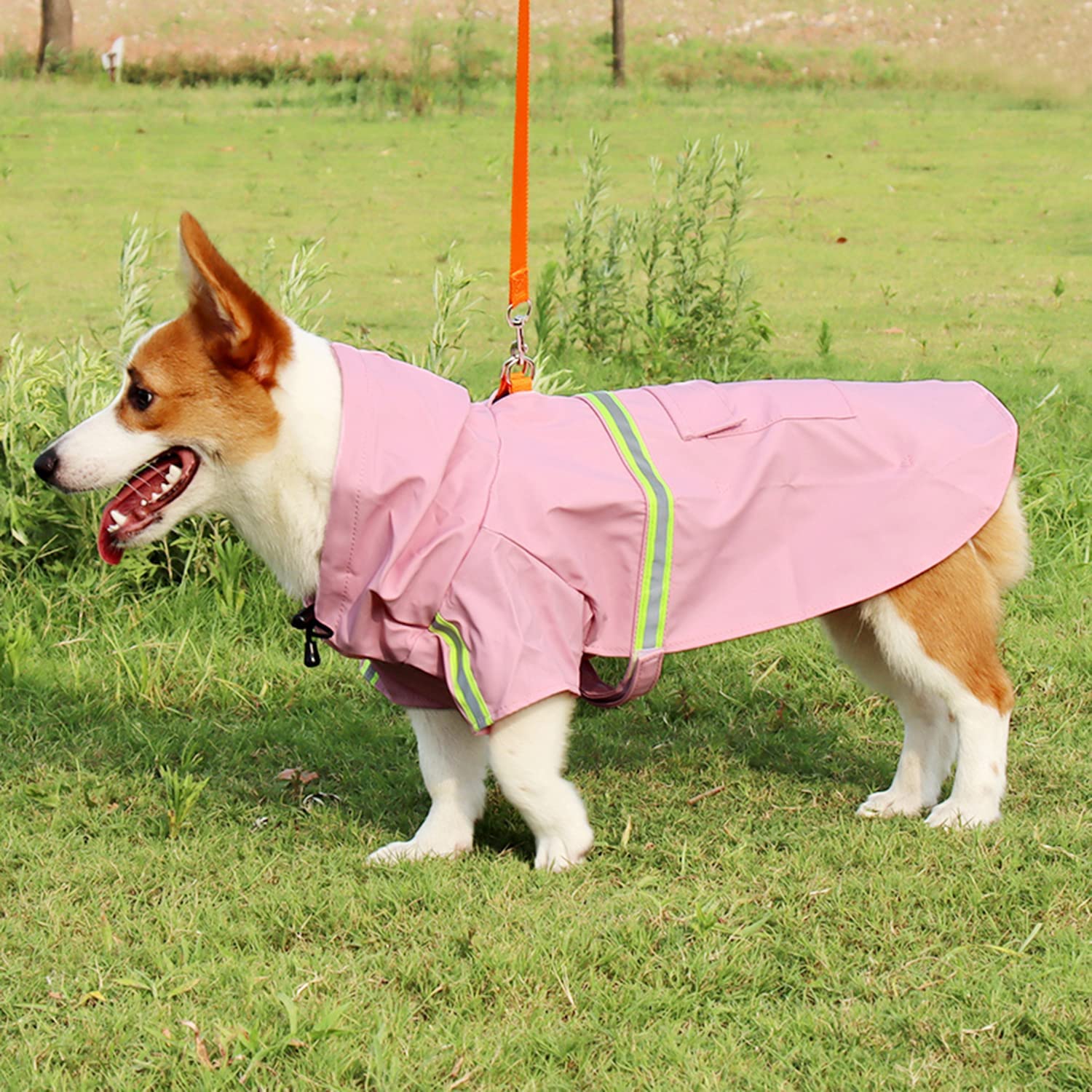 Coatypaw™️ I Reflektierender und wasserdichter Regenmantel für Hunde