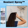 Sealant Spray™ | Schnell und effektiv (1+1 GRATIS)