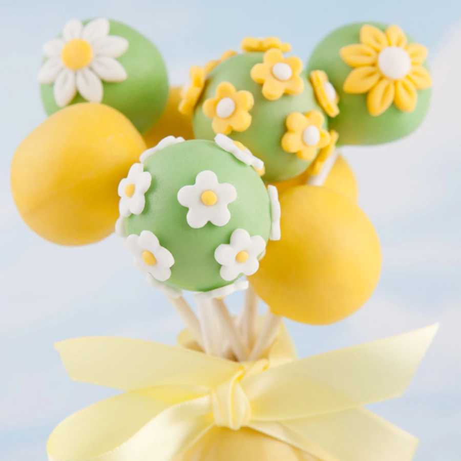 Easy Pop Mold™ | Machen Sie die besten Cake Pops aller Zeiten!